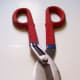 Tin Shears