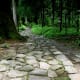 The cobblestone path leading to Shiraito falls and Takinoo shrine.