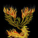 The iconic Phoenix rising from the ashes of the past. Arizona lost 300,000 jobs from 2008 - 2010, but began to gain jobs in 2011.