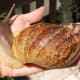 snail-farming-things-to-know-before-starting-your-snail-farm-business