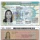 This is a sample Resident Card (again, not an actual card).