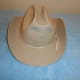 Stetson cowboy hat bought at a local thrift store for 25 cents!