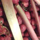 Strawberries and rhubarb grown in my back yard