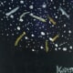 Acrylic painting of the 2015 Perseid meteor showers from my back deck. It has not been sold yet and lives in the Great Room of my co-housing community's common house.