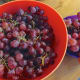 You can't go wrong with grapes.