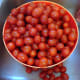 The cherry tomatoes were a welcome addition to my salads plus I made several pans full of sun-dried tomatoes in the oven.
