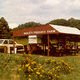 agritourism-and-farm-based-education