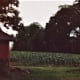 Holt's Produce Farm in 1984. The red corn crib building is still there and is about 100 years old.