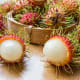 Rambutan