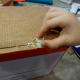 My son added a chipboard squirrel left over from a scrapbooking project.