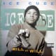 Ice Cube—"Kill at Will"