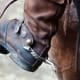 Not his first rodeo What other trails does he travel when you're not around?.