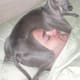 He who sleeps with dogs ... wakes up warm and feeling loved.