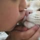 I kiss my cats. Do you?