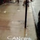 Cancer suxs. But no one was expecting much of a party.