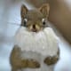 Santa, where's your hat? (This little guy is actually trying to stuff bamboo cotton bedding into his mouth.)