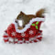 The sleigh is full! Get going!