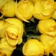 Yellow roses have more of a place as a "Get well soon" than as an "I love you." As beautiful as they are, save them for hospital visits or your friends!