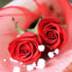 Two red roses entwined with one another is a way to ask your lover if she would like to marry you. Give two roses this Valentine's Day if you're planning on proposing. If not, opt for more roses or a single rose instead of two roses!