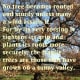 "No tree becomes rooted and sturdy unless many a wind assails it. For by its very tossing it tightens its grip and plants its roots more securely; the fragile trees are those that have grown in a sunny valley." —Seneca the Younger