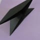 Collapse into a double triangle with two flaps on each side.