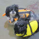 In the swim of things!