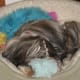 Sleeping amidst just a few of my toys.