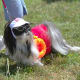Wearing my shades