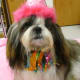 Dressed up for a party!