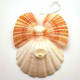 Glue scallop shell to fan seashells to form angle. Attach smaller seashells and a faux pearl strand.
