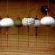 http://www.mermaidspurseseaglass.com/mermaids-purse/2010.12.18/sea-urchin-ornaments.html