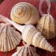 Turn your seashells into glitz and glam by wrapping and gluing strand of faux gemstones.