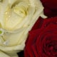 valentines-ideas-for-high-school-teens
