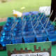 Jell-o water