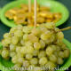 Slime balls