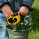 # 18 The Earth is Rich-Your Seed Might Become This.
