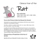 The Batch #1 templates also includes this information sheet that tells a little about the year of the Rat and includes the Chinese character for "rat."