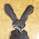 Tie a decorative ribbon or piece of string around your bunny's neck. I used a tie from an old shirt.