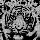 Used a chalk effect and reduced the colors to black and white.
