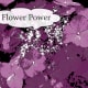 An abstract version of my flower photo that was created in the previous version of the online editor