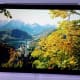 myphone-agua-rio-review