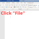 Click "File"