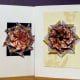 Here are the two medallions in Lesson One made into 4.24 X 5.5 inch note cards. You can see that all is needed is background paper to mix and match and a greeting card is ready for sending. Add a note in your own handwriting.