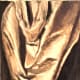 Student Painting using a Raw Sienna Scale
