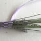 Weave ribbon around the stems to cover the flowers.