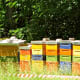 Beehives in a city park, Leipzig.