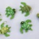 uses-for-walnut-shells-ground-crushed-crafts-for-children