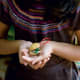 uses-for-walnut-shells-ground-crushed-crafts-for-children