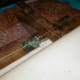 Laying the protective layer of calico on the back of the frame.
