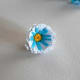 Fringed flower with yellow and blue centre